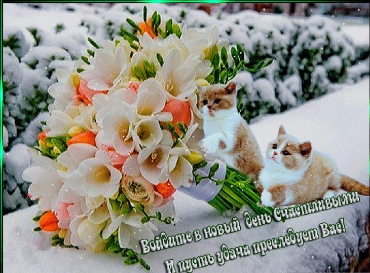 Открытки